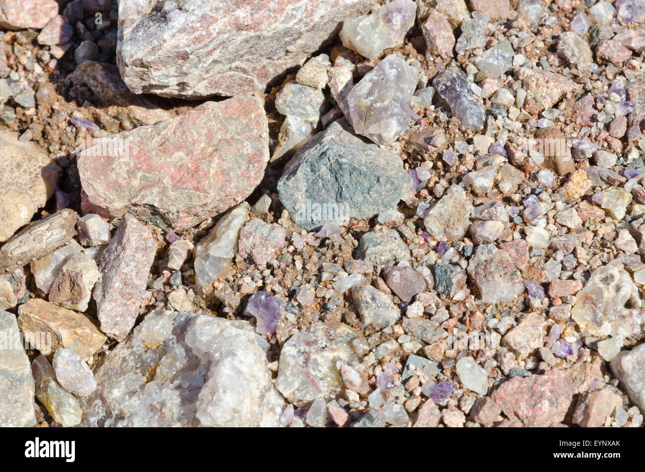 Amethyst Edelstein zwischen Beige Schottersteine Stockfoto