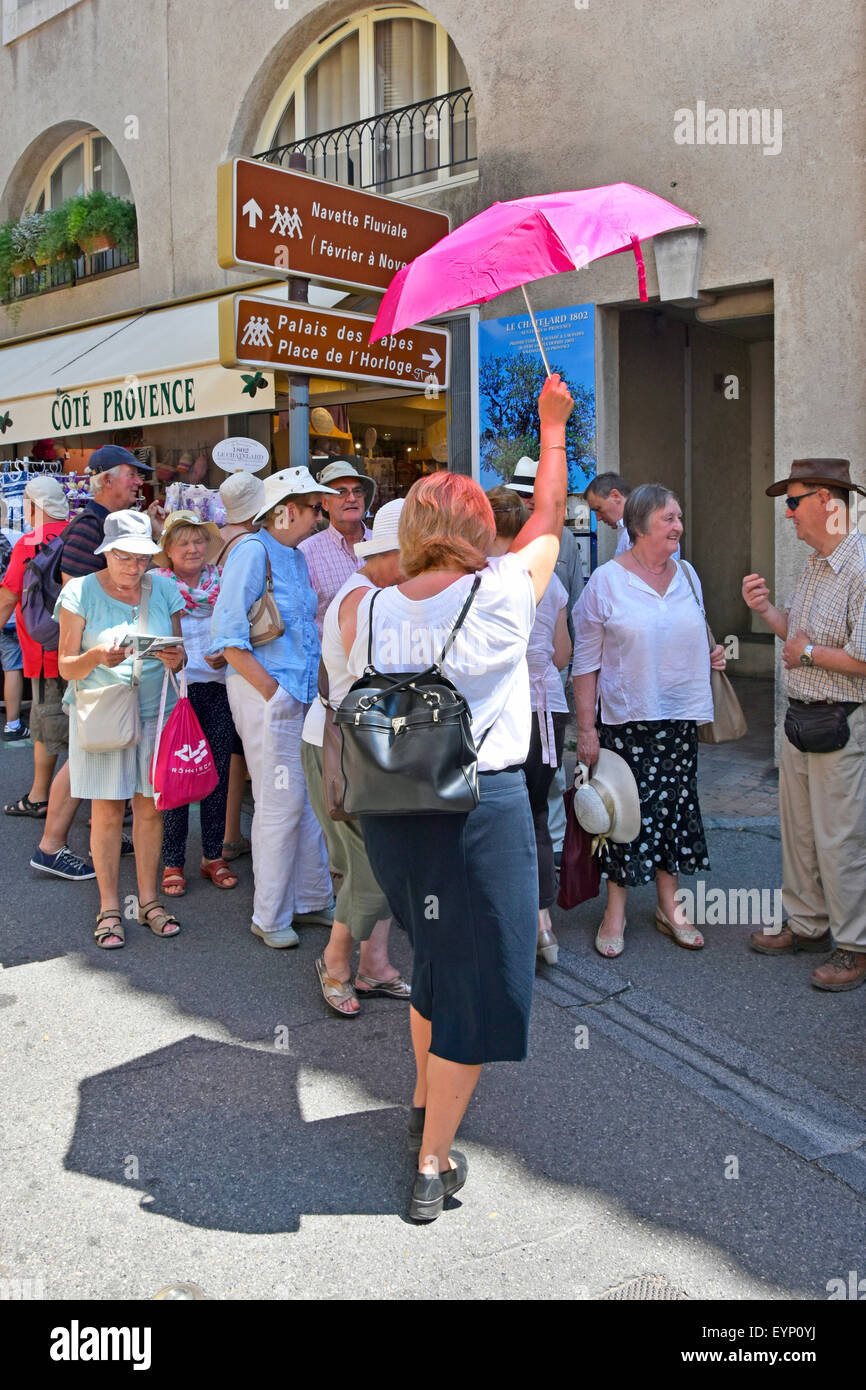 Der Reiseleiter hält einen rosafarbenen Regenschirm als Positionsmarker für die Zusammenkunft von Touristengruppen auf einem Besichtigungstour durch die französische Stadt Avignon France Provence Stockfoto