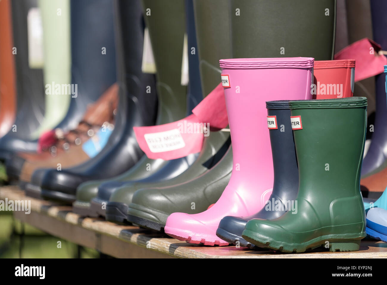 CLA Game Fair 2015 Harewood Stockfoto