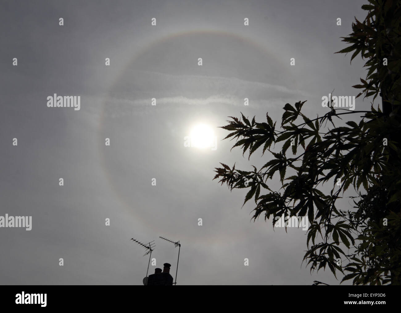 Epsom, Surrey, UK. 2. August 2015. Zwei seltene optische Phänomene waren sichtbar in den Himmel über Epsom Surrey heute. Zunächst wie ein Tal der dünnen Wolke über den Himmel wandert, ist ein Halo um die Sonne zu sehen. Die Rundschreiben (oder 22 Grad) Halo ist ein optisches Phänomen, produziert von Licht, die Interaktion mit Eiskristallen in der Atmosphäre, ein Regenbogen-Effekt um die Sonne ausgesetzt. Dem folgte eines Circumhorizontal Bogens die viel seltener ist. Bildnachweis: Julia Gavin UK/Alamy Live-Nachrichten Stockfoto