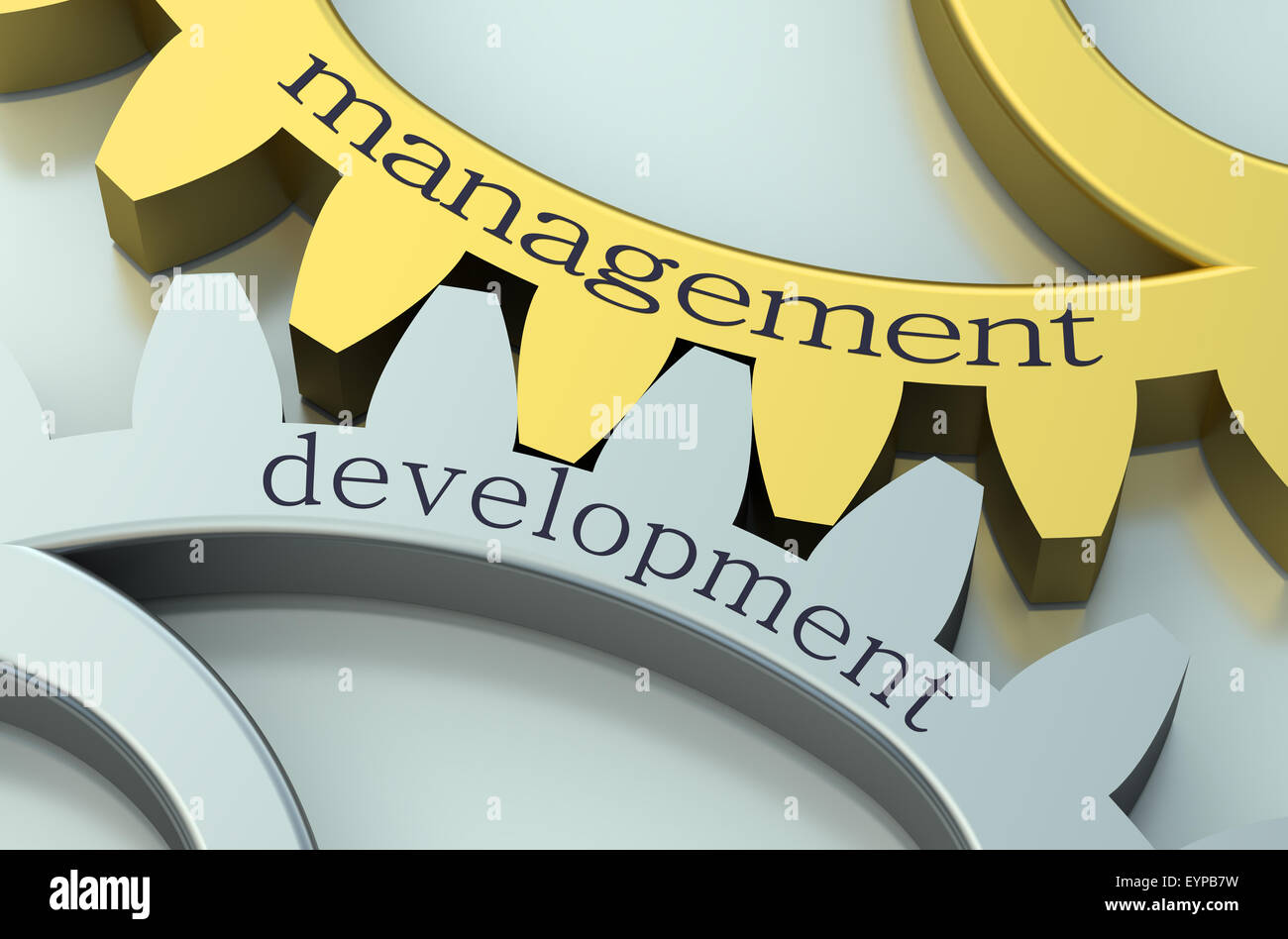 Management und Development-Konzept auf die Zahnräder Stockfoto