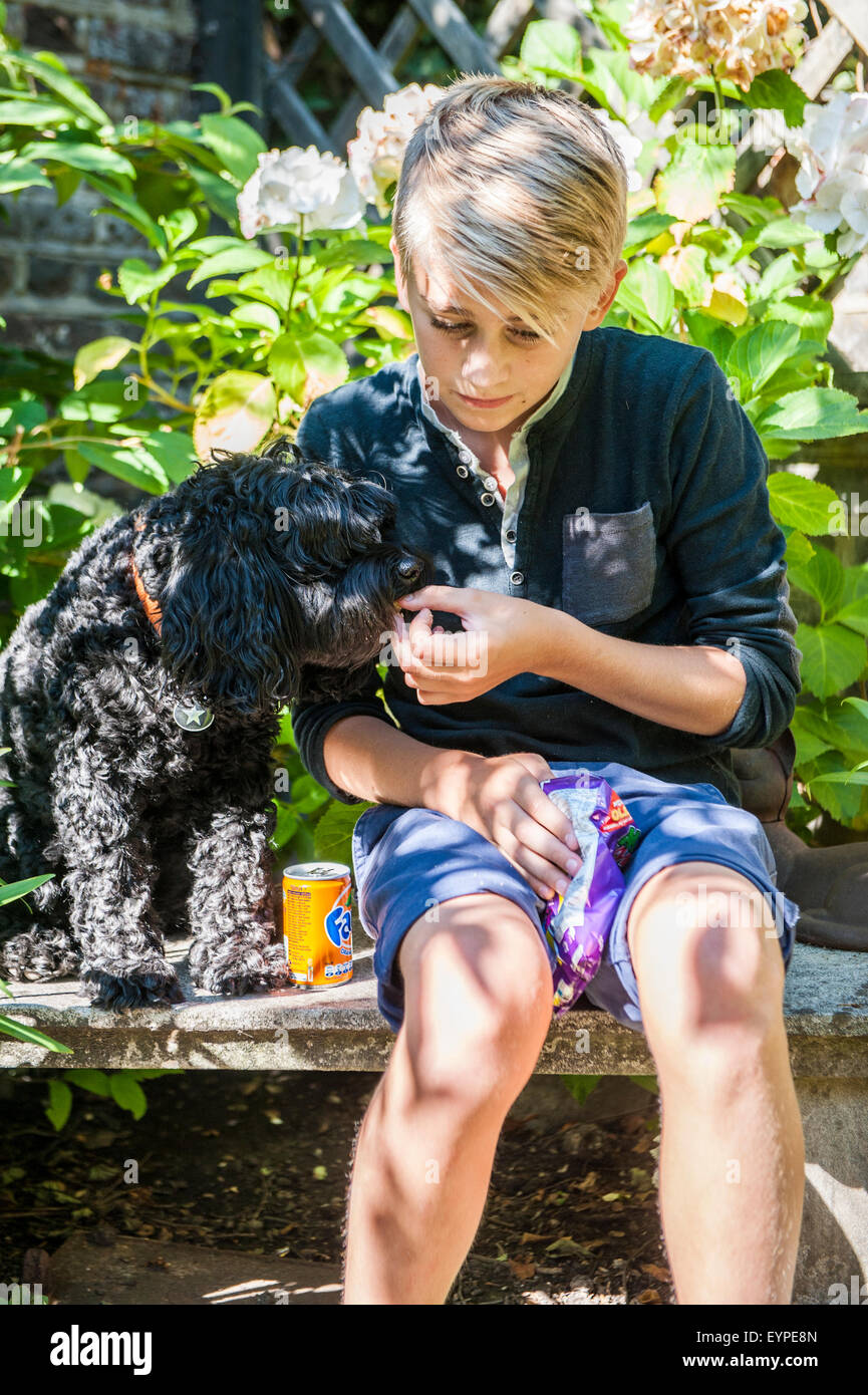 Ein kleiner blonder Junge im Alter von etwa 12 Jahre alt sitzt auf einer Bank in der Sonne mit seinem Hund Welpen und teilt seine Snack mit sich Stockfoto