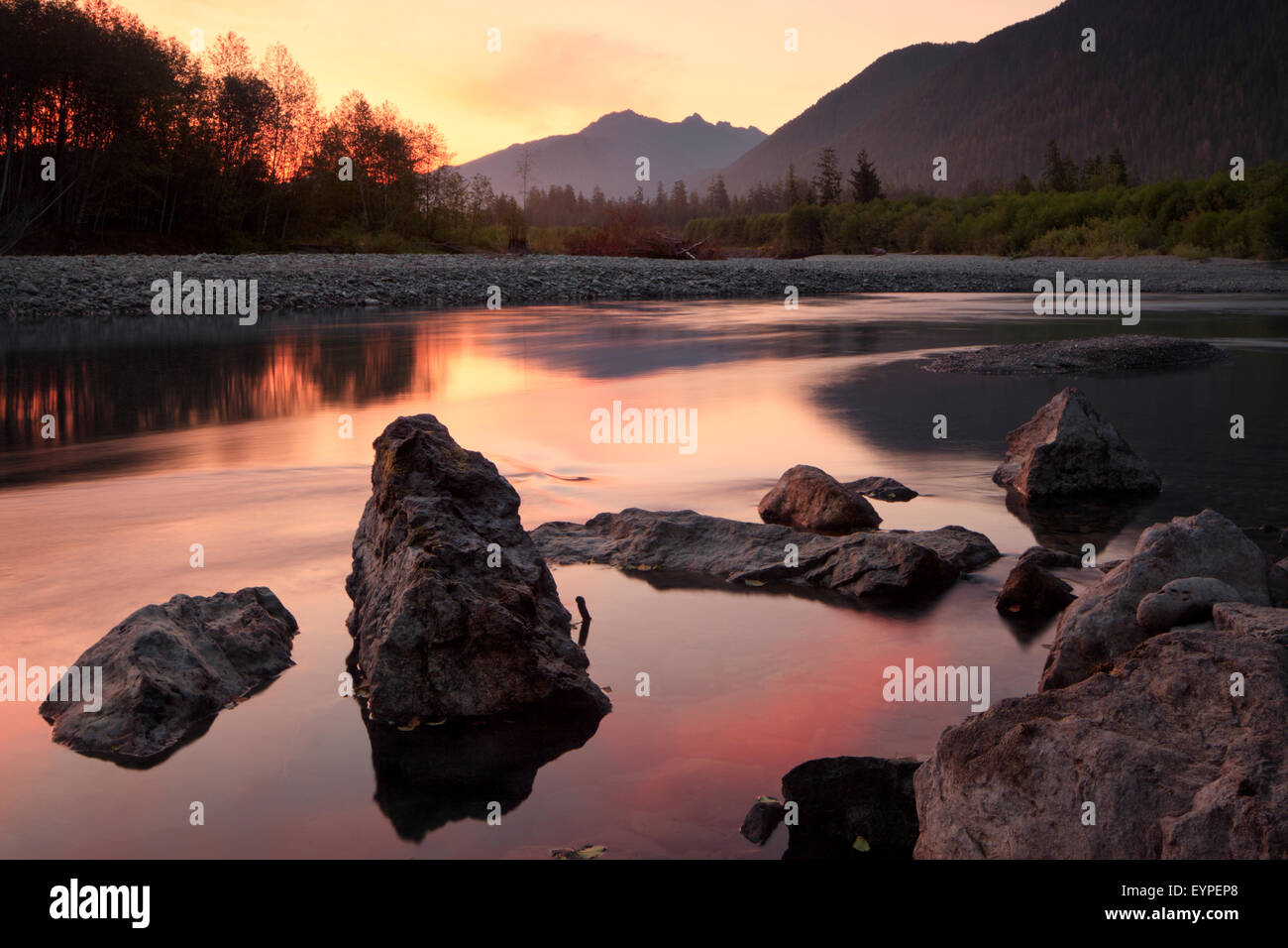 Sonnenaufgang am Quinault River im Olympic Nationalpark, Washington Stockfoto