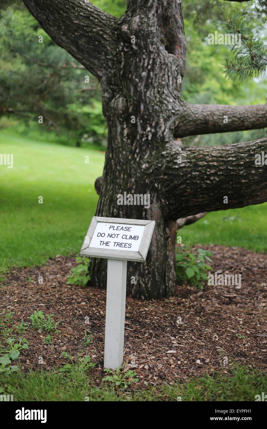 Ein Zeichen neben einem Baum-Lesung "Bitte nicht die Bäume klettern". Stockfoto