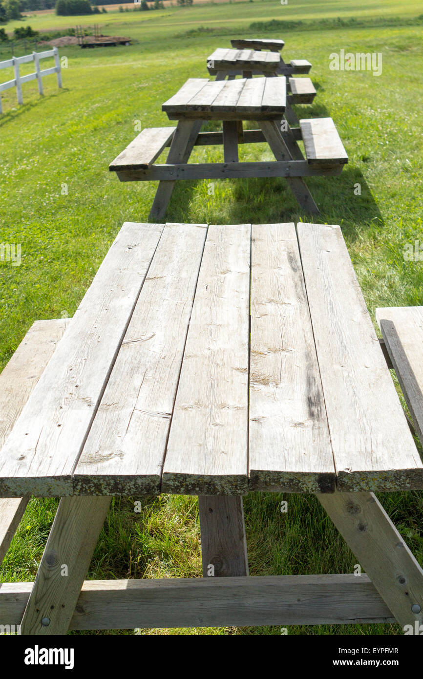 Reihe von Picknick-Tische auf einem Grashügel. Stockfoto