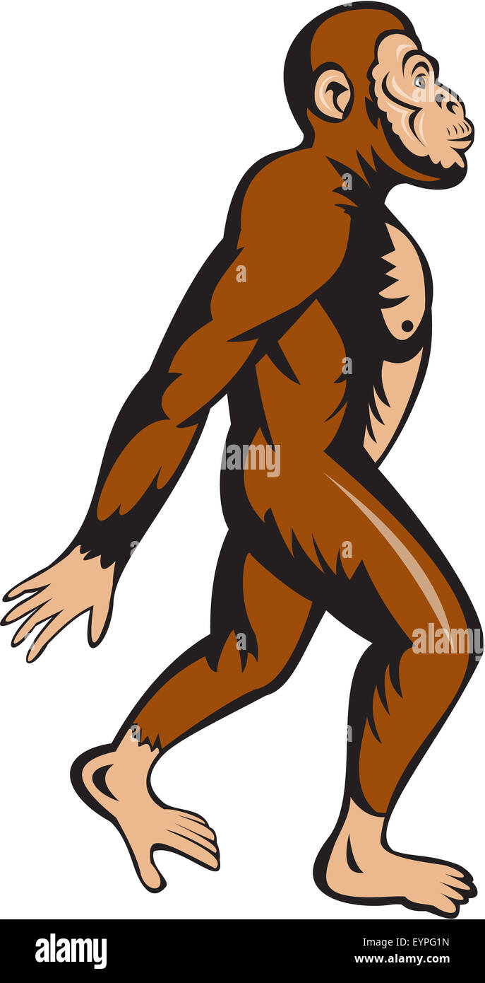 Abbildung von einem Neandertaler zu Fuß von der Seite am isolierten weißen Hintergrund getan im Cartoon-Stil gesehen. Stockfoto