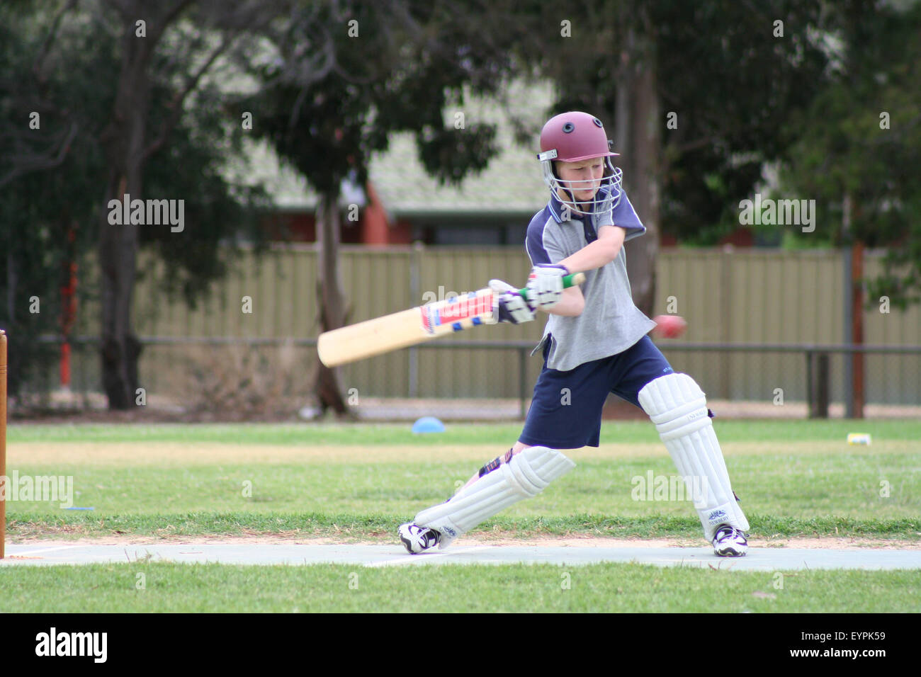 Einen jungen Cricket-Spieler rund um den Ball bei einem Nachwuchsspiel Cricket in einem Vorort von Adelaide, South Australia Stockfoto
