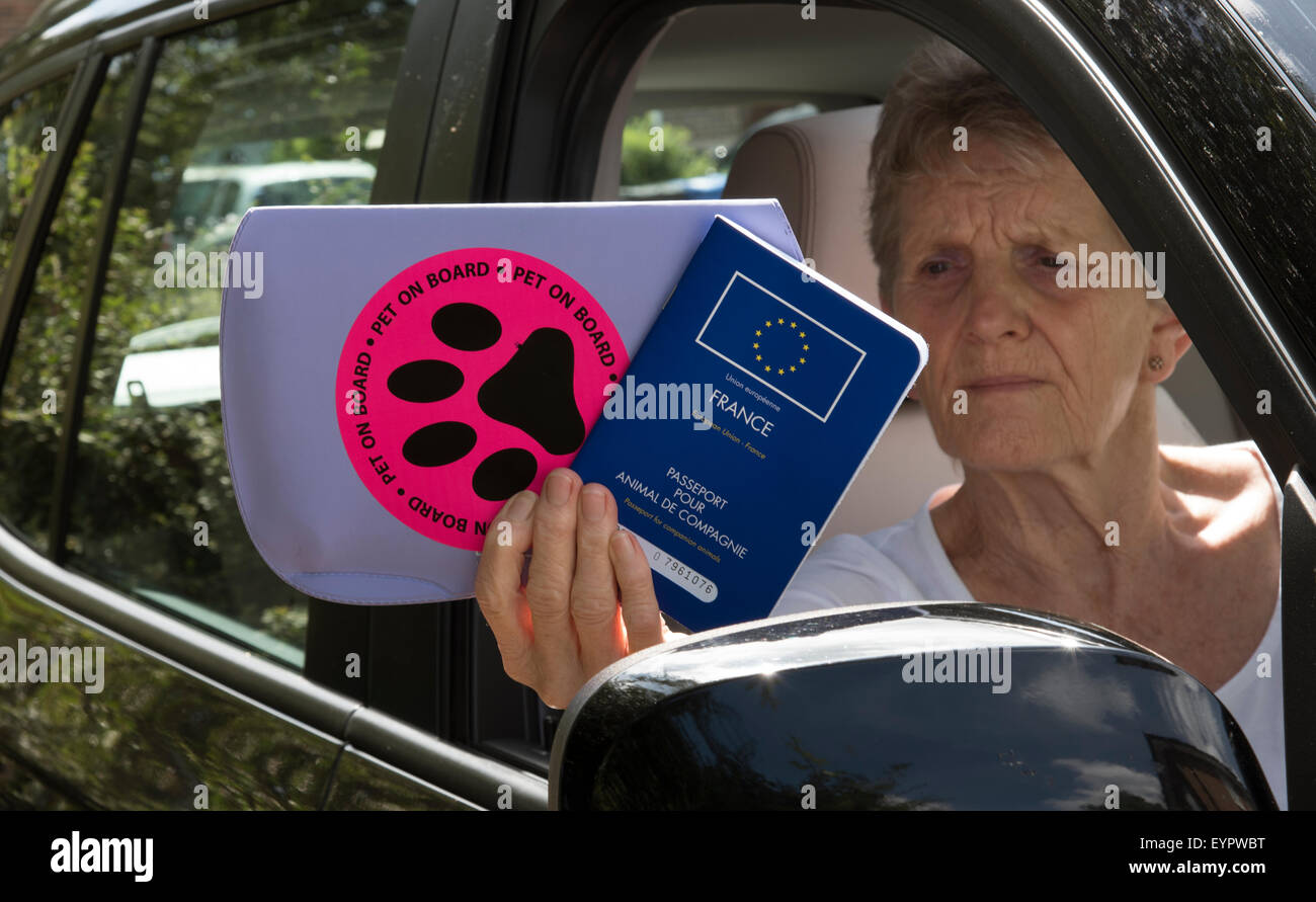 Europäischen Union Haustiere Pass- und Haustier an Bord Aufkleber verwendet, wenn zwischen Ländern mit Ihren Haustieren Autofahrer unterwegs Stockfoto