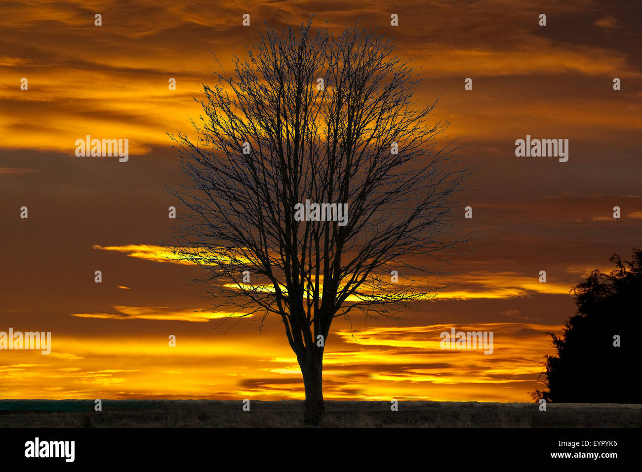 "Sonnenaufgang"; Morgenrot, Stockfoto