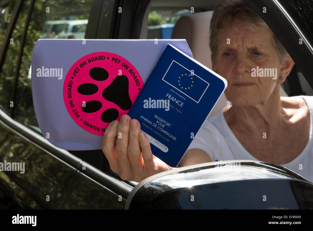 Europäischen Union Haustiere Pass- und Haustier an Bord Aufkleber verwendet, wenn zwischen Ländern mit Ihren Haustieren Autofahrer unterwegs Stockfoto