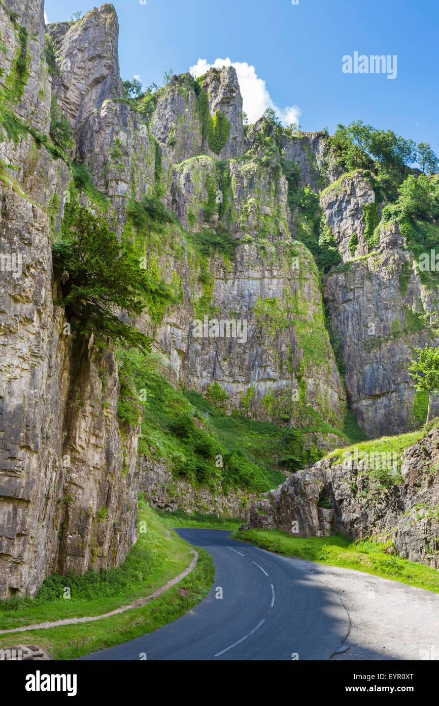 Cheddar Gorge, Cheddar, Somerset, England, Vereinigtes Königreich Stockfoto