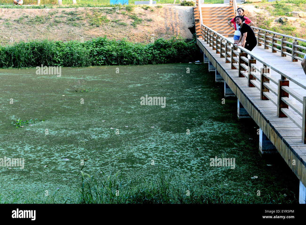 Zhengzhou. 29. Juli 2015. Foto am 29. Juli 2015 zeigt, dass Bewohner Morgen entlang der stark verschmutzten Xiliu See in Zhengzhou, Henan Provinz Zentral-China ausüben. Wassersysteme Zhengzhou Xiliu Lake Park und Jialu Fluss waren verschmutzt durch übermäßige industrielle Abwässer und Sanitär Abwasser entladen stromaufwärts. © Zhu Xiang/Xinhua/Alamy Live-Nachrichten Stockfoto