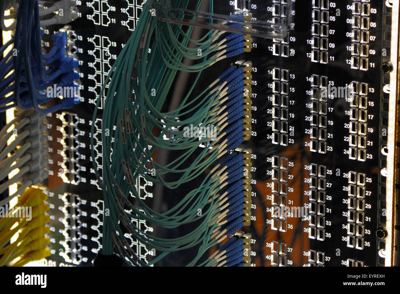 Vernetzung-Patch-Panel mit Ethernet und Glasfaser. Stockfoto