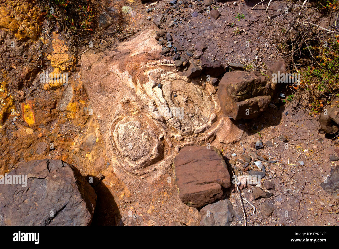 Erosion des Bodens Stockfoto