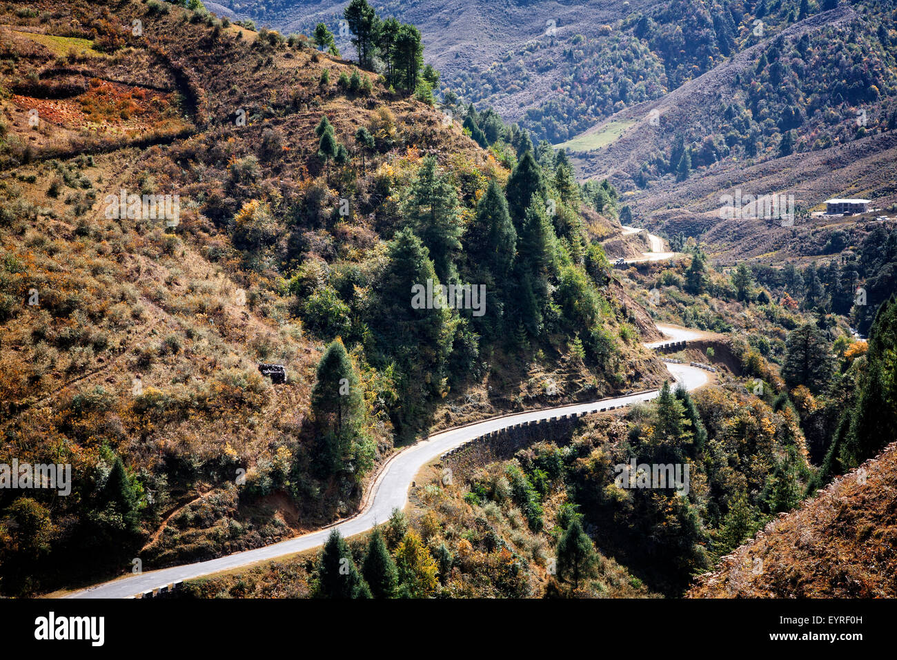 Die Wicklung Bhumthang-Ura-Highway in den Ausläufern des Himalaya auf dem Weg nach Trongsa, Bhutan. Stockfoto