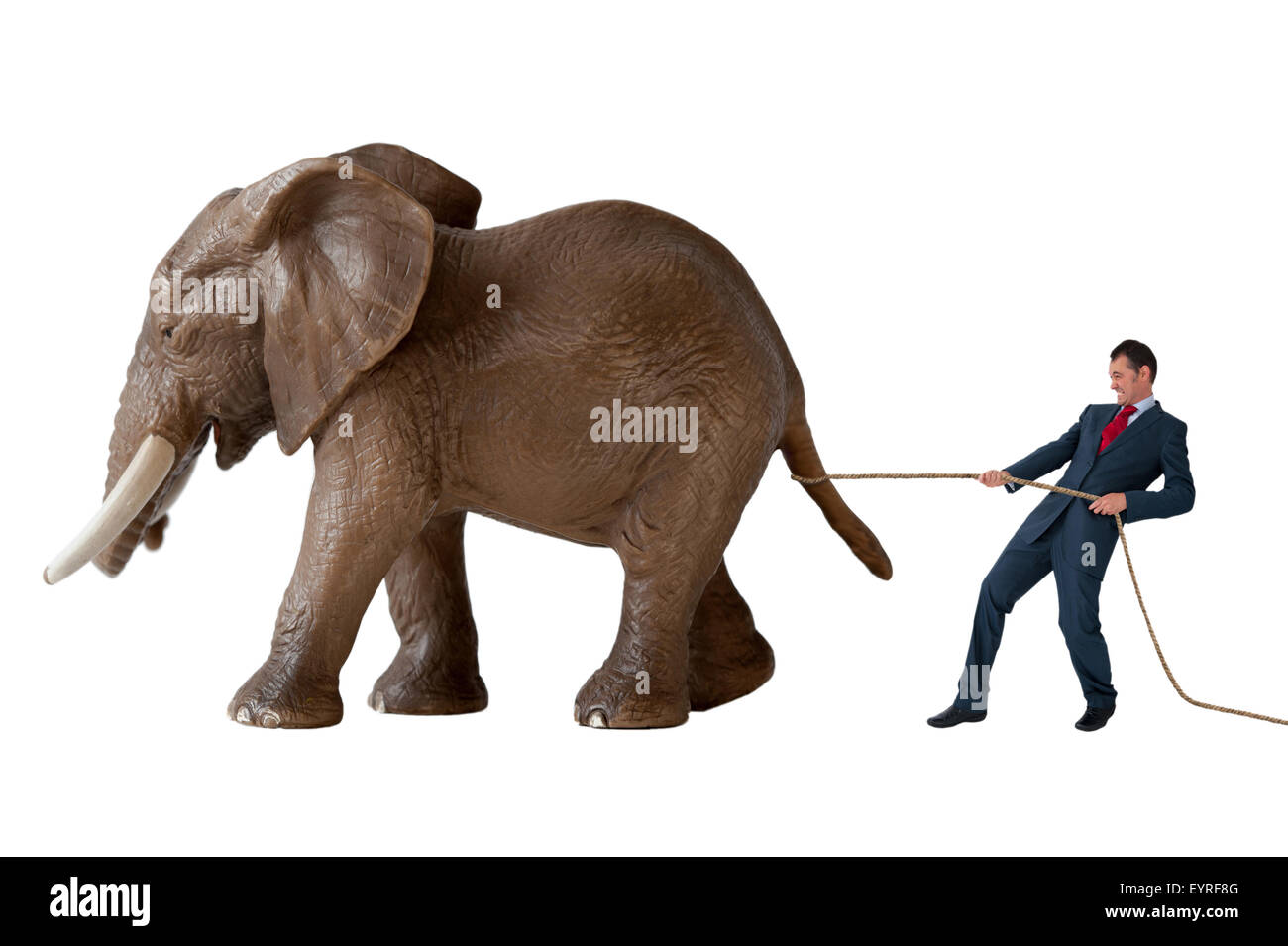 geschäftliche Herausforderung Geschäftsmann versucht, ein Elefant, isoliert auf weißem Hintergrund zurückhalten Stockfoto