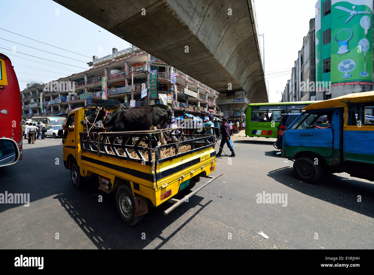 Tiertransporte in Dhaka, Bangladesch, Asien Stockfoto