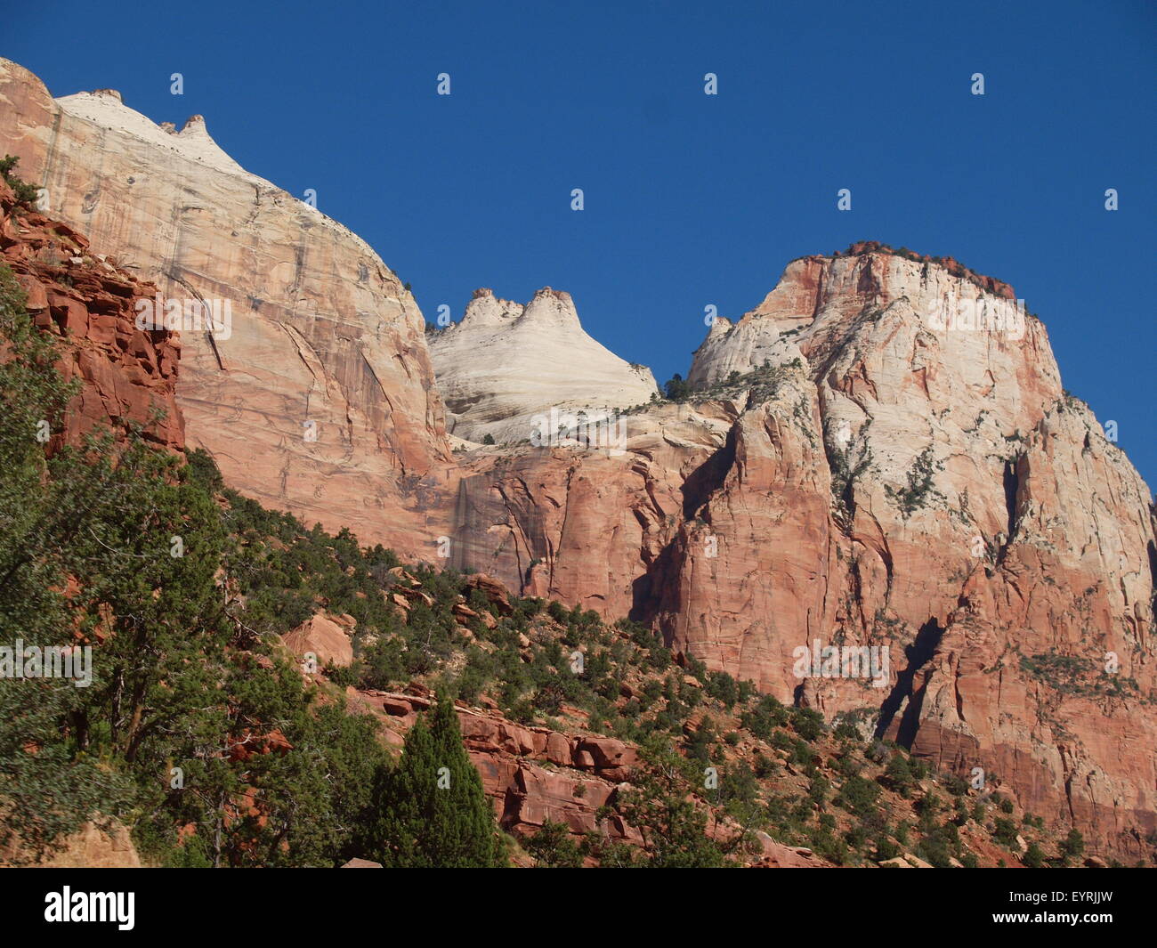 Landschaft im Zion Nationalpark, Utah Stockfoto