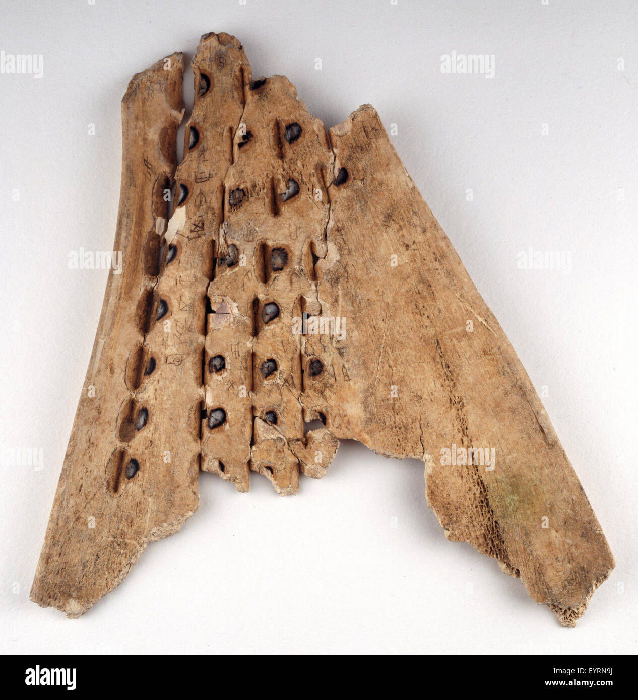 Foto eines chinesischen orakelknochens, ein altes Artefakt, das während der Shang-Dynastie zur Wahrsagung verwendet wurde. Das Bild bietet Einblicke in die frühe chinesische Kultur und Schriftsysteme. Stockfoto Foto eines chinesischen orakelknochens, ein altes Artefakt, das während der Shang-Dynastie zur Wahrsagung verwendet wurde. Das Bild bietet Einblicke in die frühe chinesische Kultur und Schriftsysteme. Stockfoto