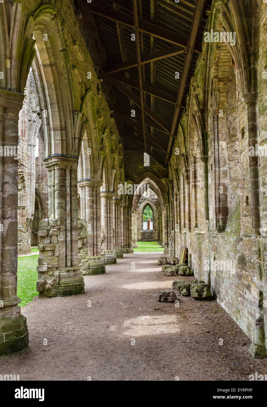 Die Ruinen von Tintern Abbey, in der Nähe von Chepstow, Monmouthshire, Wales, UK Stockfoto