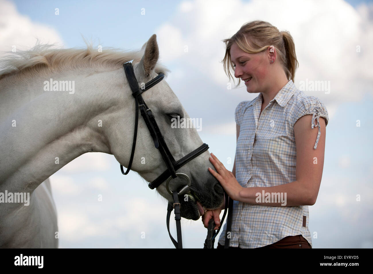 Eine junge Frau streicheln ein Grauschimmel Connemara Stockfoto