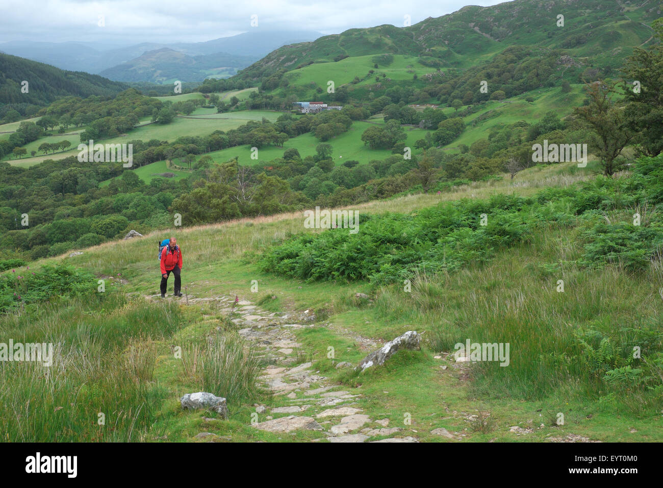 Cadair Idris, klettert Gwynedd, Wales eine männliche Walker den Pony-Pfad mit dem Snowdonia National Park im Hintergrund Juli 2015 Stockfoto
