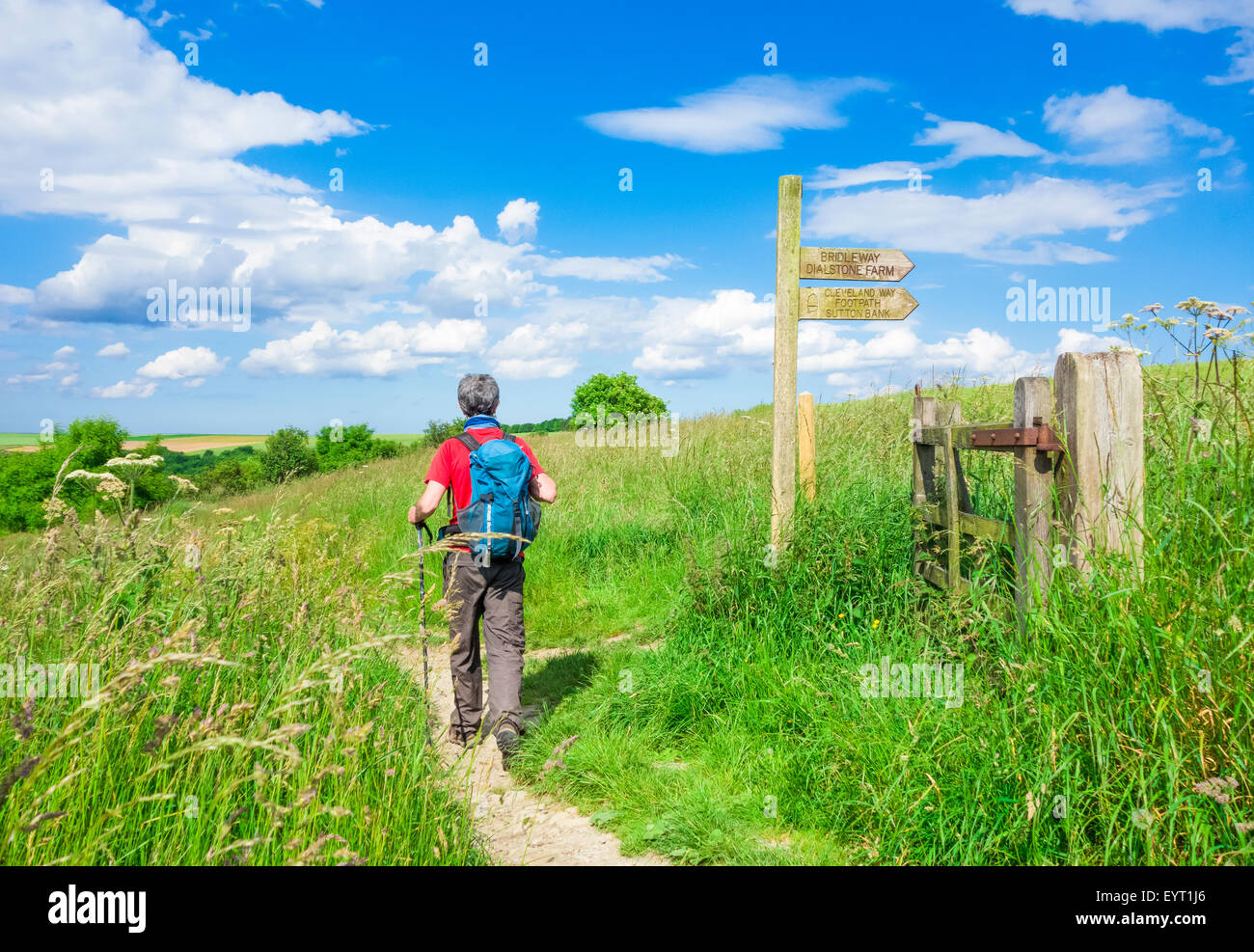 Ältere männliche Walker auf The Cleveland Art Trail in der Nähe von Sutton Bank, North York Moors National Park. England. UK Stockfoto