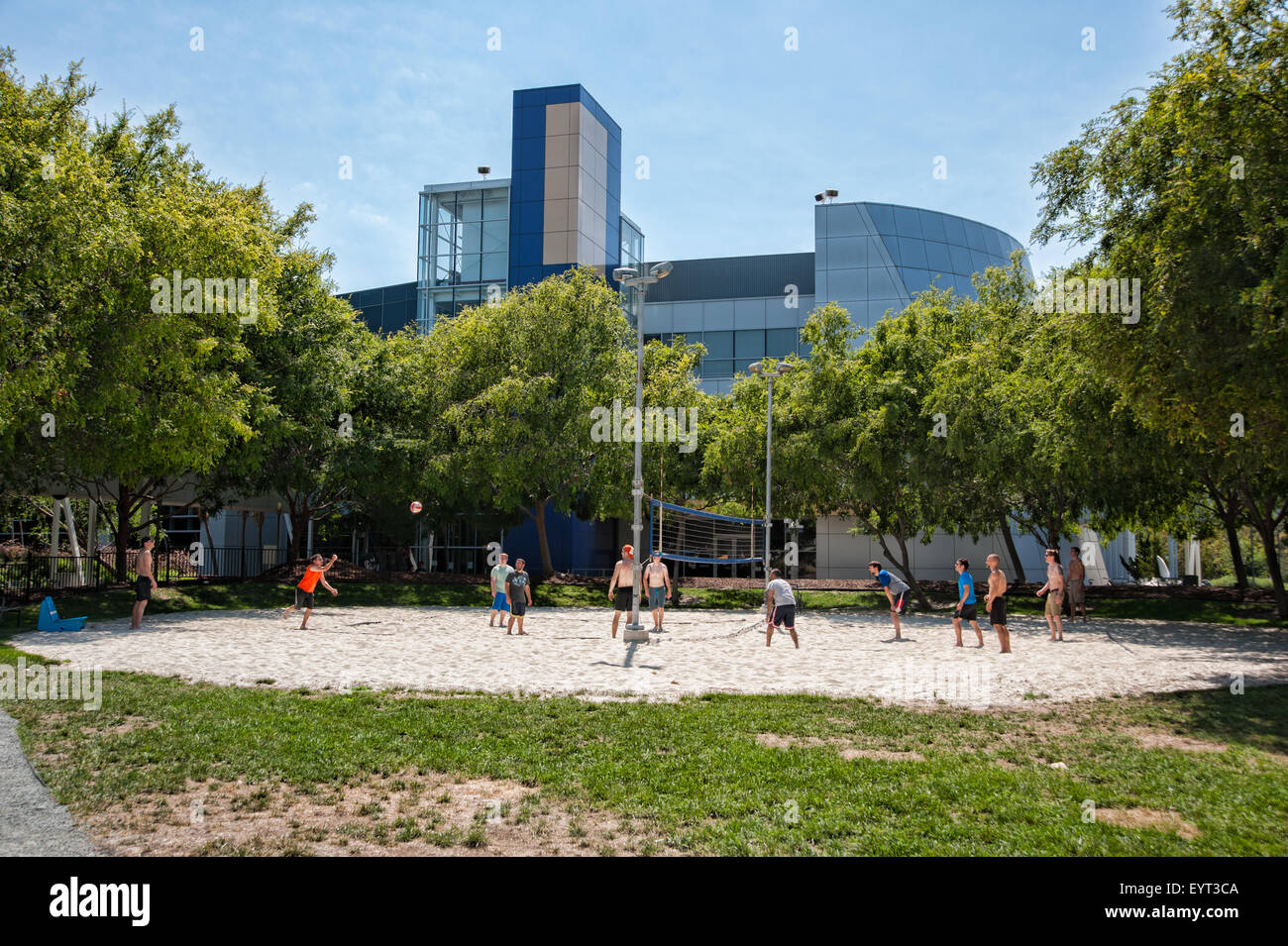 MOUNTAIN VIEW, CA - 1. August 2015: Google-Mitarbeiter auf Volleyball spielen im Google-Hauptquartier in Mountain View, Kalifornien Augus Stockfoto