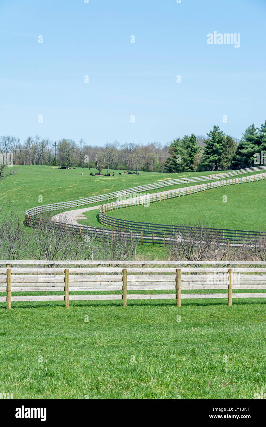 S-förmige Auffahrt auf eine Farm in Kentucky USA Stockfoto