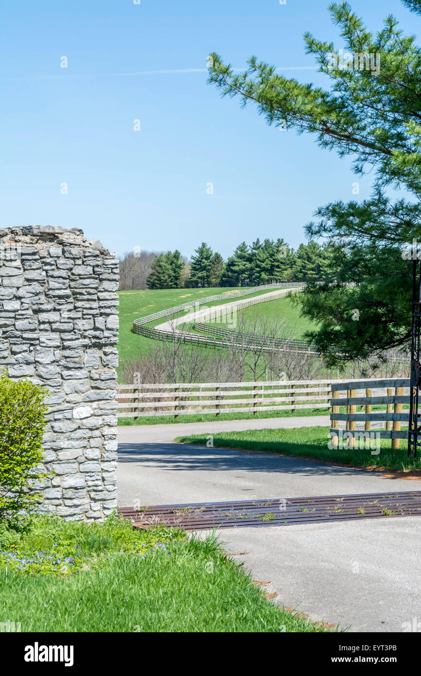 S-förmige Auffahrt auf eine Farm in Kentucky USA Stockfoto