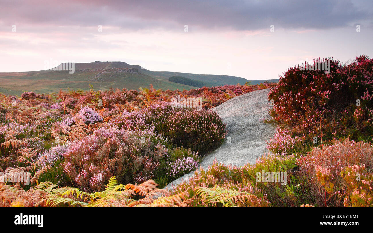 Sommer Twilight Burbage Moor in der Nähe von Higger Tor (Bild im Dunkeln Peak District der Peak District National Park, England UK Stockfoto