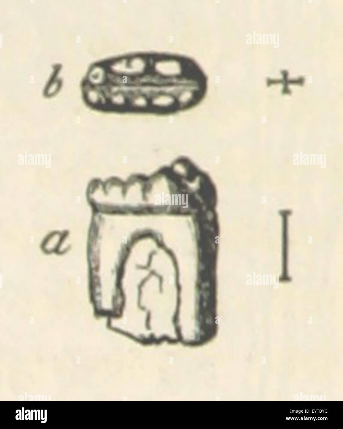 Dieses Bild von Seite 544 von „A Manual of Elementary“ (Handbuch der Grundschule) zeigt wahrscheinlich ein pädagogisches Thema, Konzept oder ein wissenschaftliches Diagramm, das für das Thema des Buches von zentraler Bedeutung ist. Stockfoto