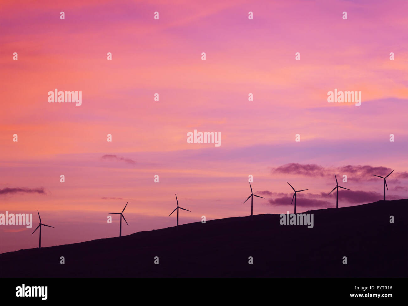 Windmühlen bei Sonnenuntergang. Grüne Energie-Zukunft. Saubere Technologien. Stockfoto