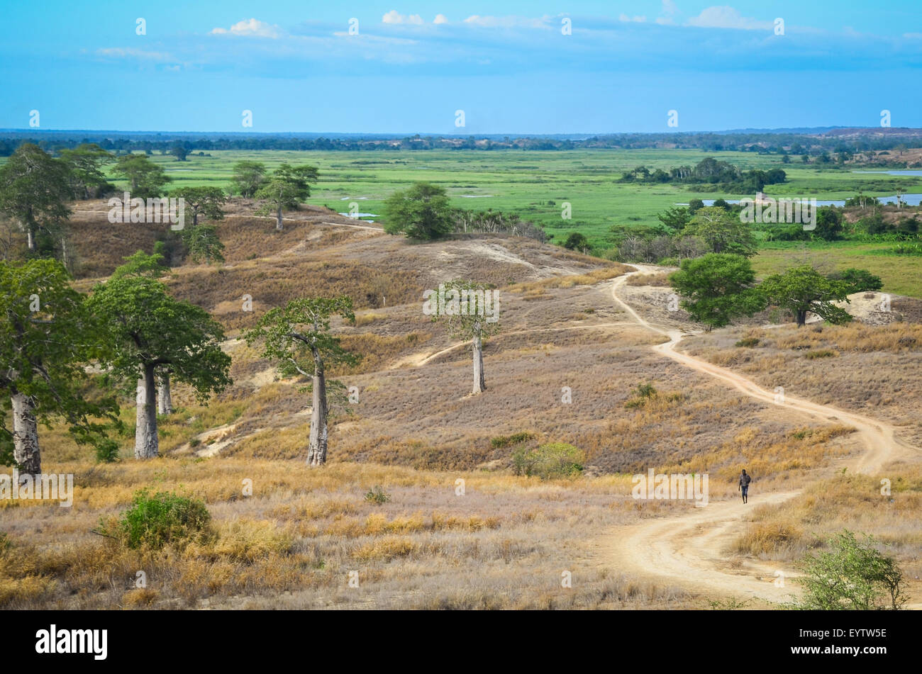 Mann zu Fuß auf einem Feldweg in ländlichen Angola Stockfoto