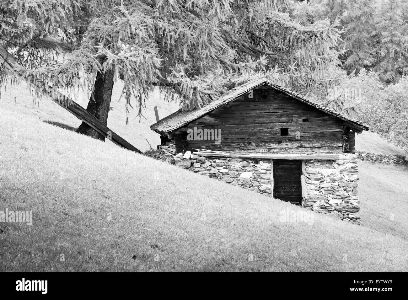 kleine Hütte neben Baum Stockfoto
