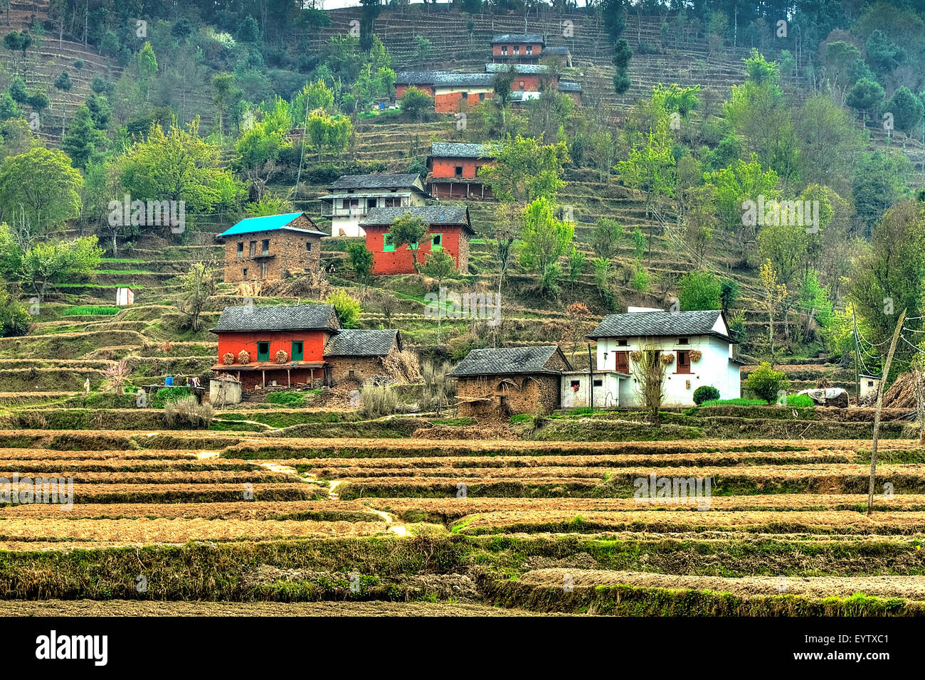 Nepalesische Hügel Häuser. der Menschen Häuser in einer ländlichen Hill Village in Nepal Stockfoto