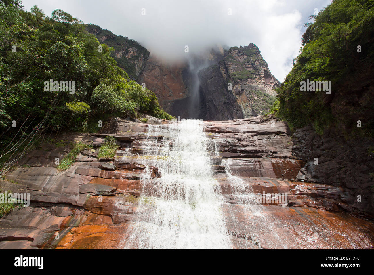 Kerepakupai Vena oder Angel Falls, Salto Angel ist die höchsten Wasserfälle der Welt. Bundesstaat Bolivar. Venezuela Stockfoto