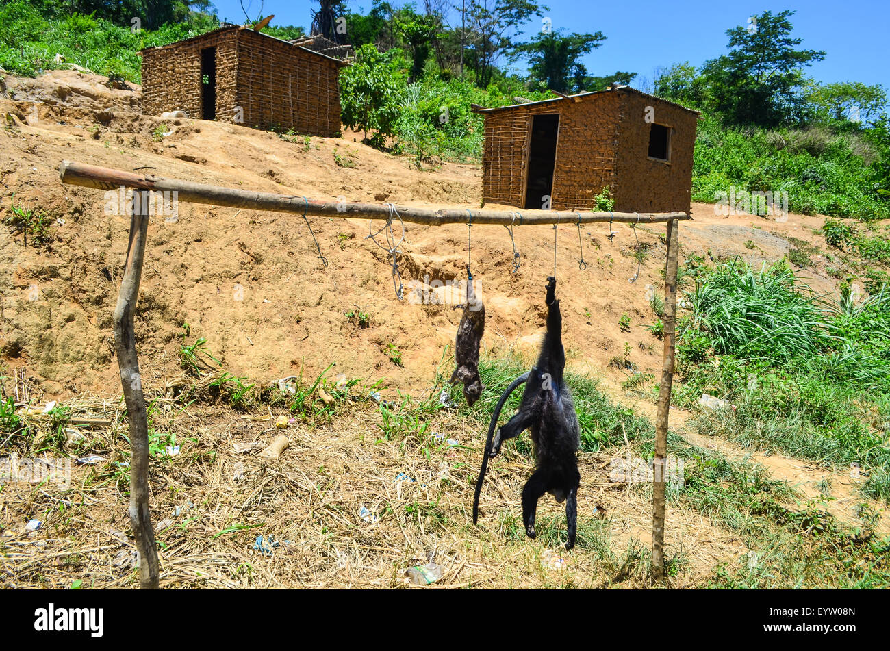 Affe hängen an einem Seil als Buschfleisch für Verkauf in einem angolanischen Dorf Stockfoto
