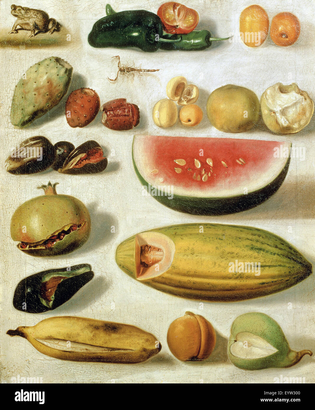 Hermenegildo Bustos, Stillleben mit Früchten (mit Skorpion und Frosch) 1874 Öl auf Leinwand. Museo Nacional de Arte, Mexiko-Stadt Stockfoto