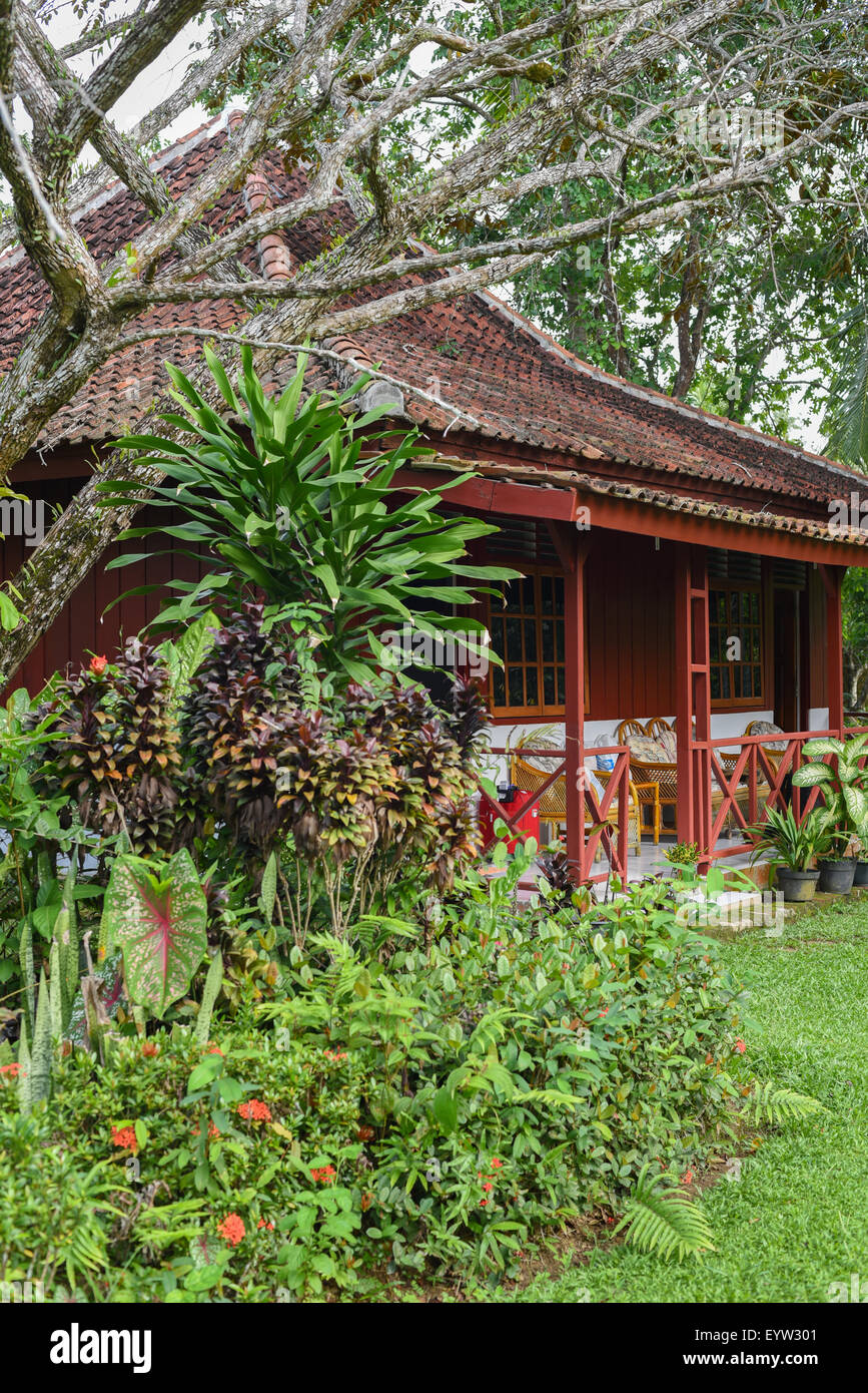 Tropischen Holzbungalow mit Garten. Stockfoto