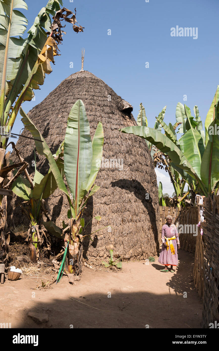 Traditionelle Dorze Hütte, Dorze, Äthiopien Stockfoto