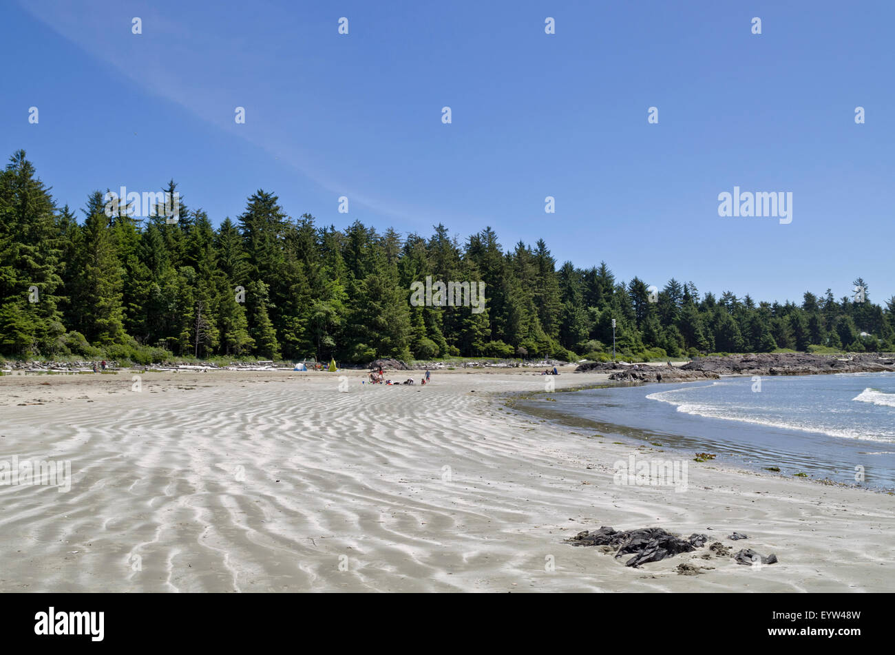 Schönen sandigen Ufer des Chesterman Beach, Teil von Long Beach, in der Nähe von Tofino, BC, Kanada.  Auf Vancouver Island. Stockfoto