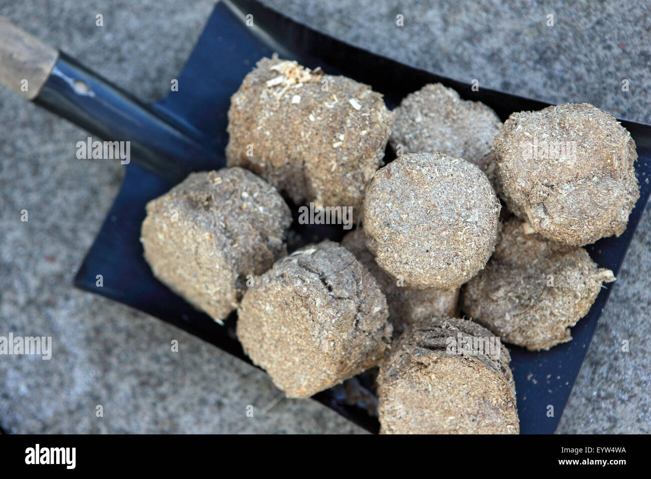 Schaufel mit Sägemehl Briketts für einen Holzofen Stockfoto