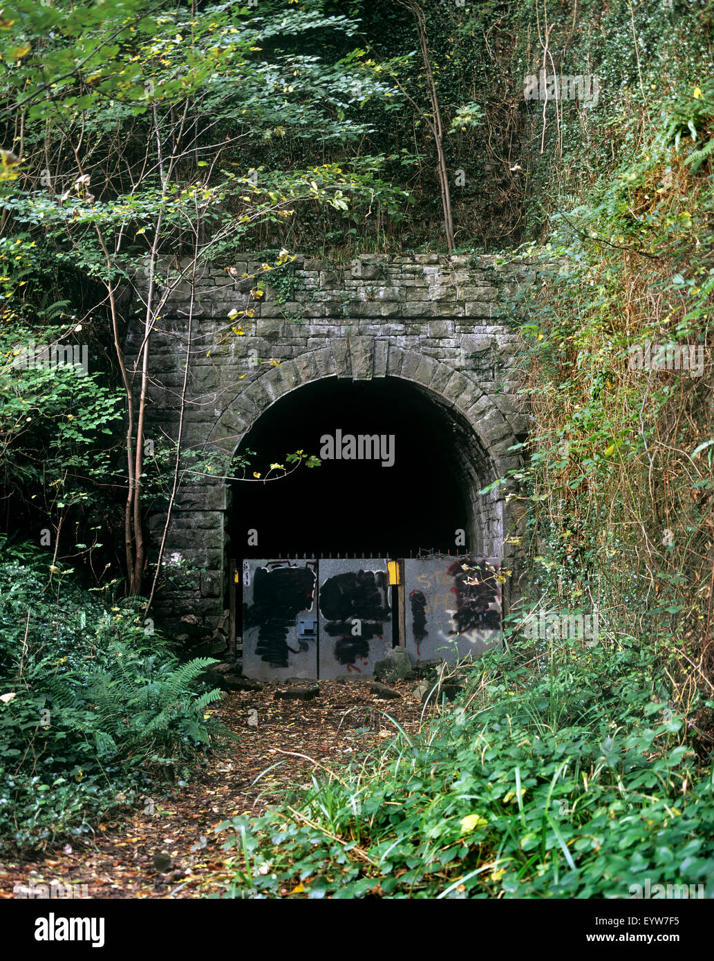 Tintern Tunnel, Gloucestershire, auf der stillgelegten Wye Valley Railway zwischen Chepstow und Monmouth. Stockfoto