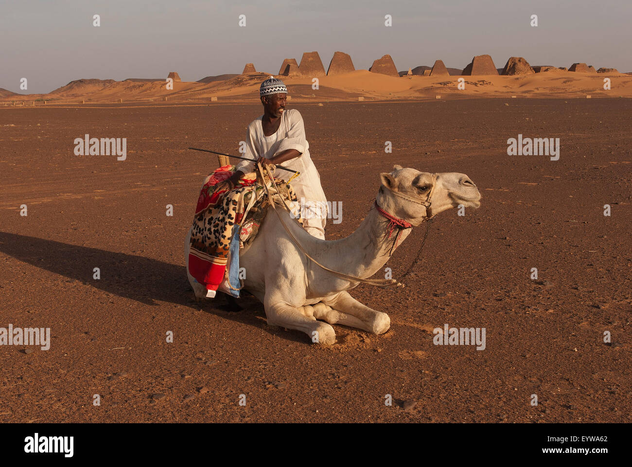 Mann mit einem Dromedar in den Sand, die Pyramiden von Meroe hinter Nubische Wüste, Nubia, Nahr an-Nil, Sudan Stockfoto