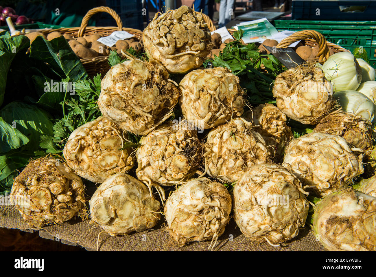 Frische Celeriacs zum Verkauf, Rheinland-Pfalz, Deutschland Stockfoto