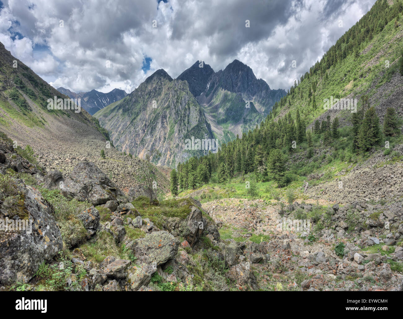 Einen kleinen Bereich an der Grenze der Taiga Bergwälder. Tunka reichen. Sajan-Gebirge. Burjatien. Russland Stockfoto