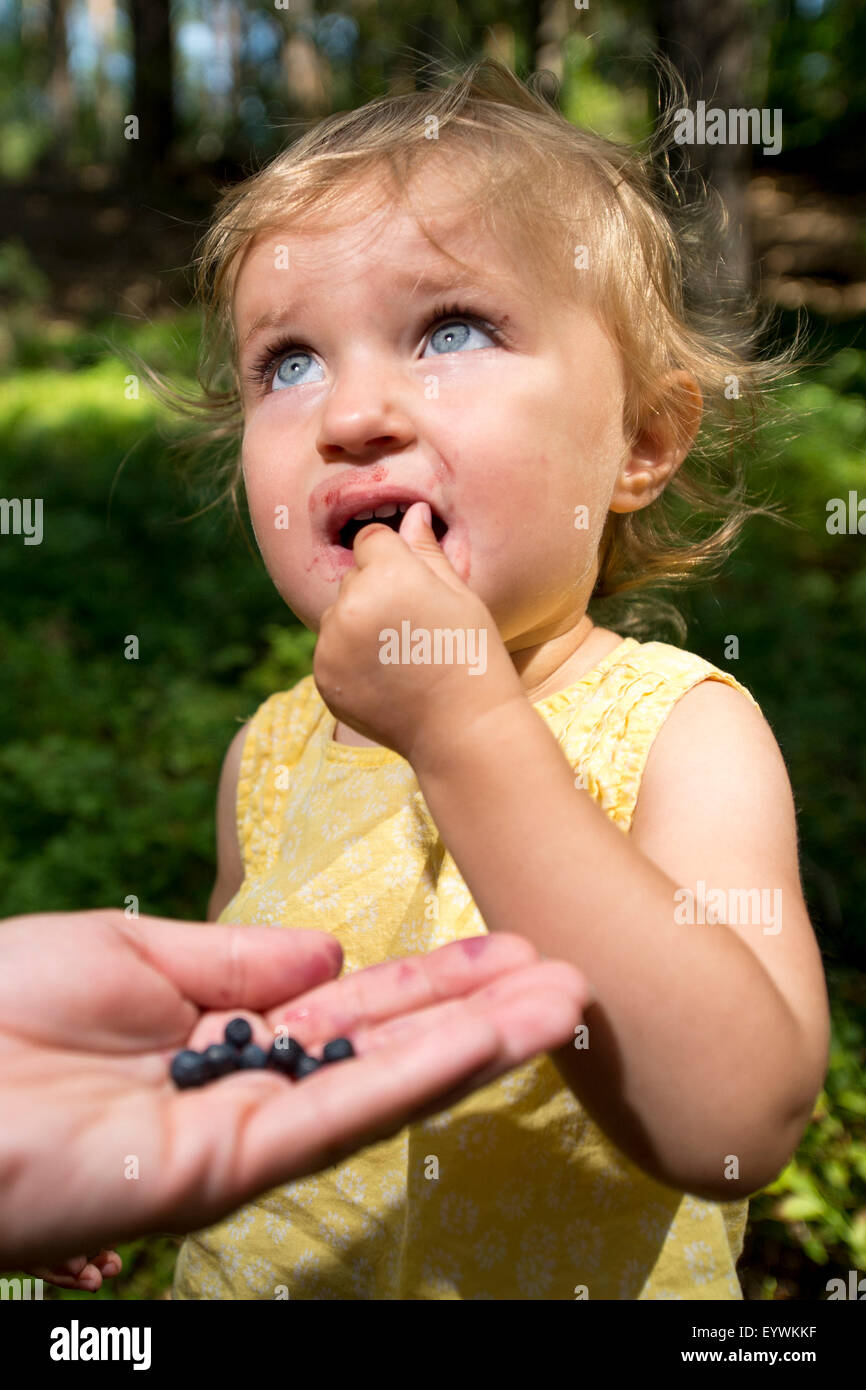 Kinder sammeln Heidelbeeren in einem Wald in Ostromer in der Nähe von Jicin, Tschechische Republik, am 8. August 2015. (CTK Foto/David Tanecek) Stockfoto