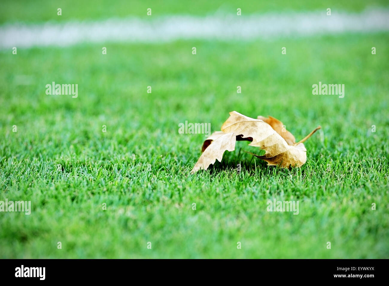 Einem gefallenen lassen auf eine grüne künstliche Fußball-Rasen Stockfoto
