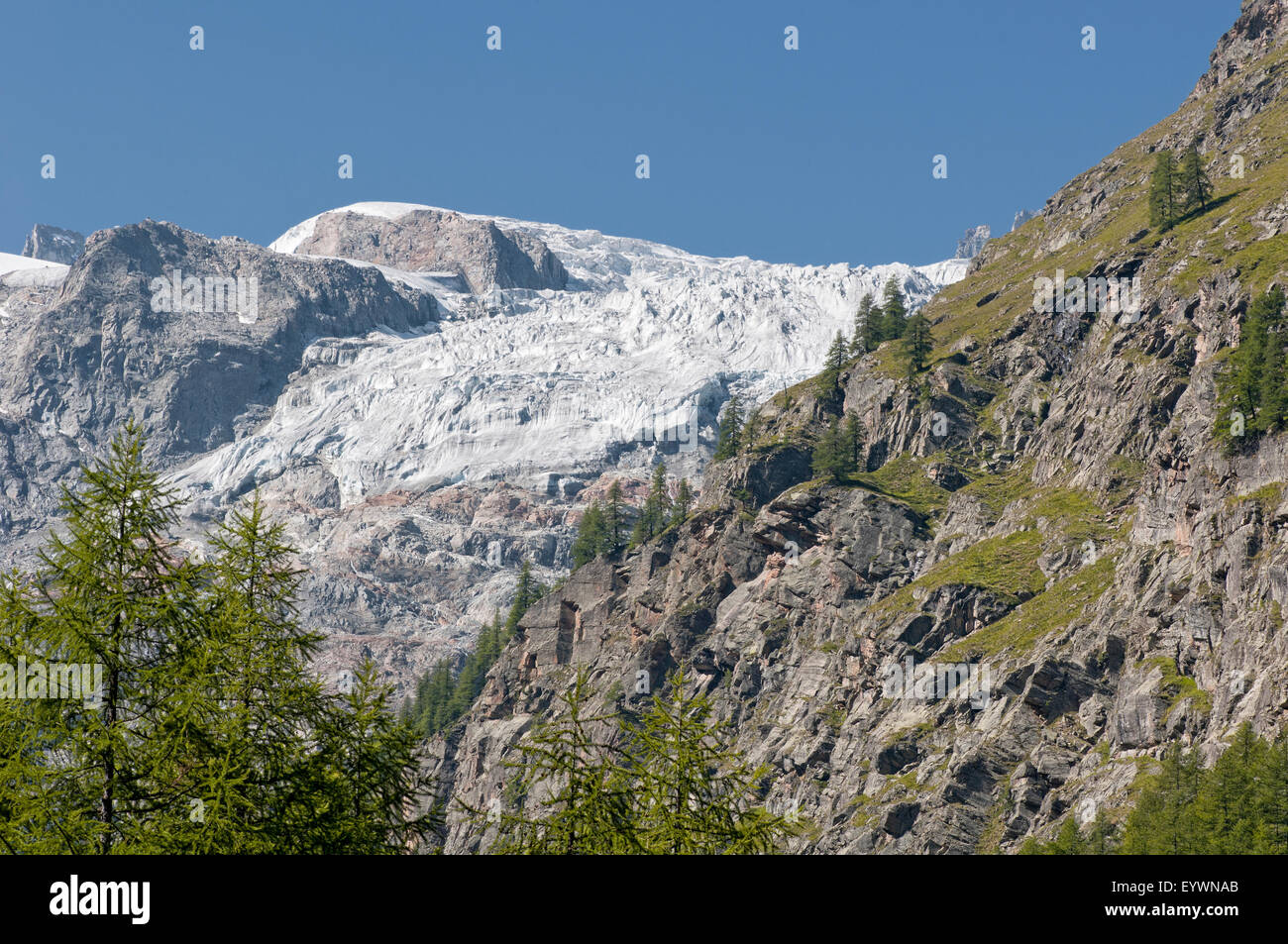 Gletscher im Gran Paradiso Nationalpark Berge. Aosta-Tal. Graian Alpen. Italien. Stockfoto